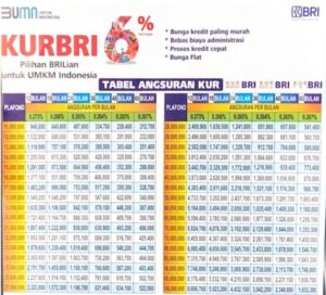 bni sampai tahapan mengajukan pinjaman begini cair