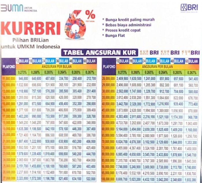 bni sampai tahapan mengajukan pinjaman begini cair