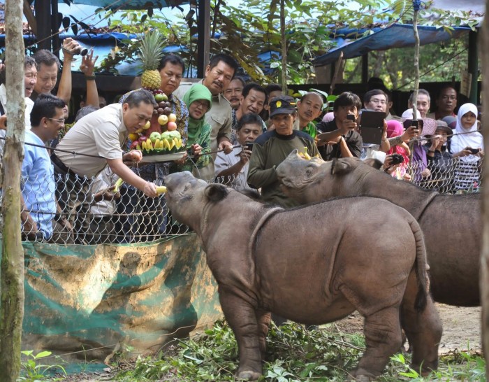 Gaji petugas kebersihan di Taman Nasional Ujung Kulon Gaji petugas kebersihan di Taman Nasional Ujung Kulon