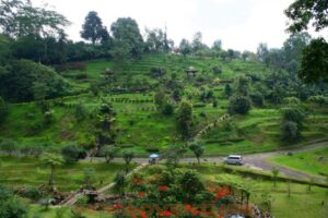 Gaji karyawan wisata Taman Wisata Alam Cibodas