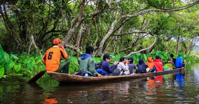 rawa dano serang banten danau