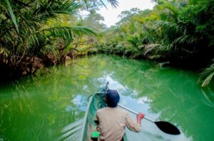 Gaji petugas kebersihan di Taman Nasional Ujung Kulon