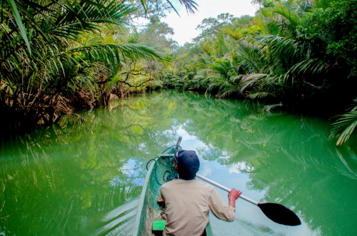 Gaji petugas kebersihan di Taman Nasional Ujung Kulon terbaru Gaji petugas kebersihan di Taman Nasional Ujung Kulon