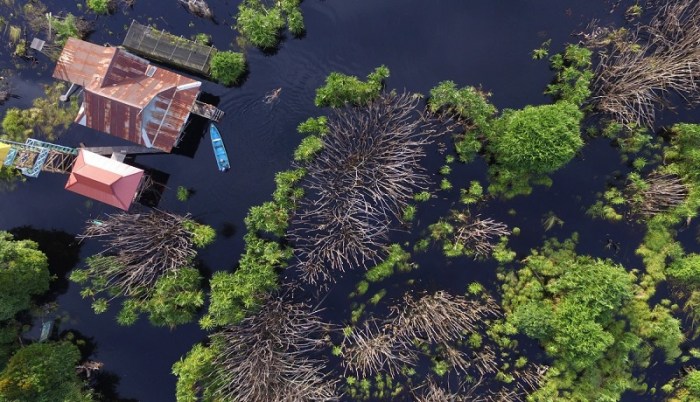 Kalimantan sungai sekonyer menyusuri bagaikan belantara dody Kalimantan sungai sekonyer menyusuri bagaikan belantara dody