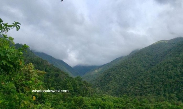 Morowali delapan cagar alam mongabay jenderal tambang berpetualang bahodopi desa kecamatan kawasan bintang berada cengkeraman pantai tepian pemda informasi paino Morowali delapan cagar alam mongabay jenderal tambang berpetualang bahodopi desa kecamatan kawasan bintang berada cengkeraman pantai tepian pemda informasi paino