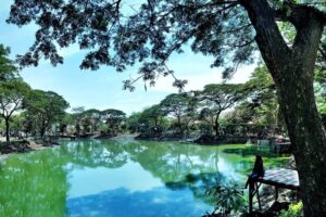 Surabaya wonorejo mangrove kebun bibit ekowisata destinasi ig menikmati teduh hutan sempurna