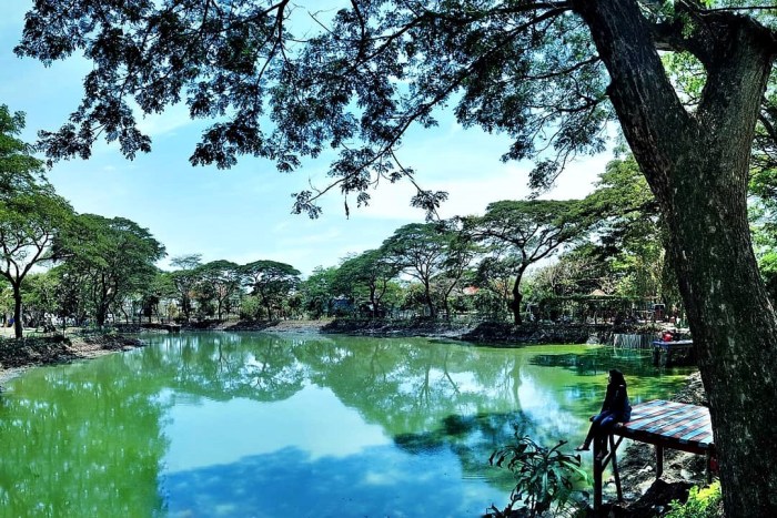 Surabaya wonorejo mangrove kebun bibit ekowisata destinasi ig menikmati teduh hutan sempurna Surabaya wonorejo mangrove kebun bibit ekowisata destinasi ig menikmati teduh hutan sempurna
