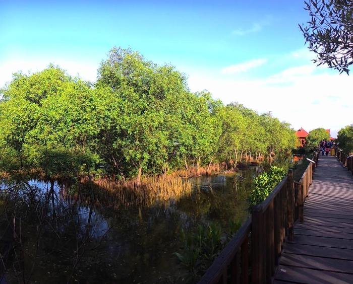 Mangrove hutan wonorejo surabaya menikmati rimbunnya pantai wisata kampoeng indahnya