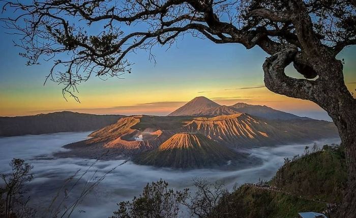 Bromo bukit kingkong melihat okezone