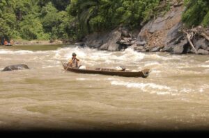 Sungai hitam taman sebangau pekat kalteng kalimantan borneo berkunjung