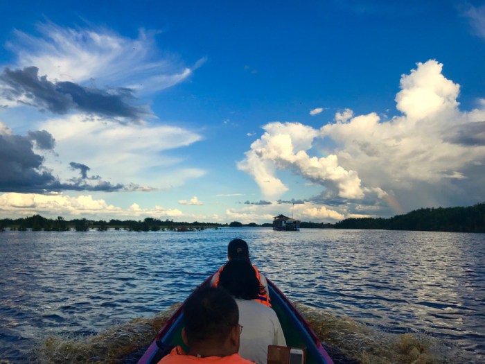 Sebangau sungai koran istimewanya lengkapnya panduan kalimantan terletak terkenal airnya sri akibat Sebangau sungai koran istimewanya lengkapnya panduan kalimantan terletak terkenal airnya sri akibat