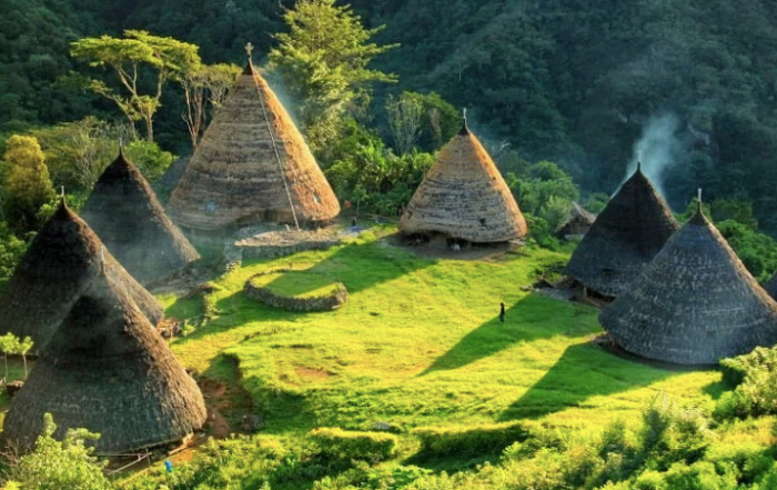 Rebo wae ntt ronny waerebo