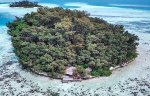 Macan pulau kepulauan seribu satu destinasi