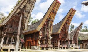 Toraja suku adat kebudayaan sejarah keunikannya upacara sulawesi rambu lengkap