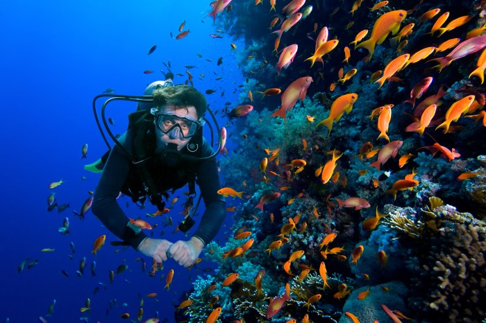 Ampat snorkel