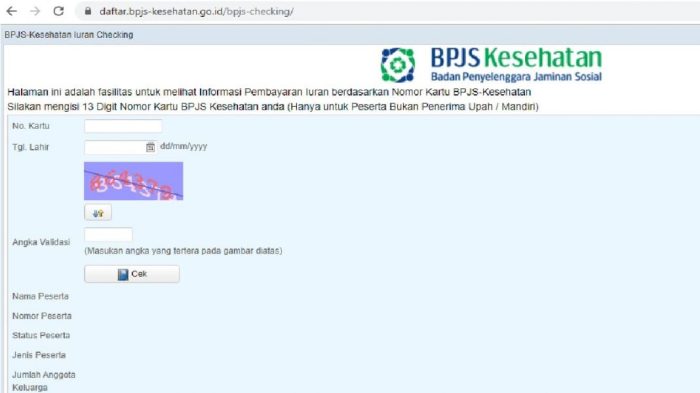 Cara mengurus bpjs kesehatan anak yang sudah tidak bisa ikut orang tua