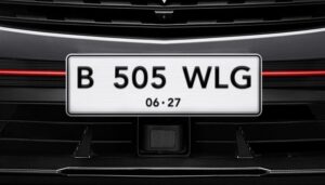 Plat rfv