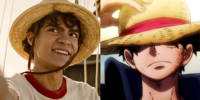 Luffy live action