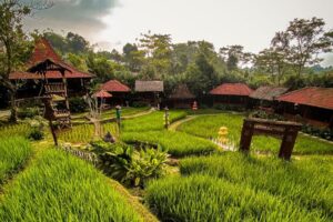 Resto Keluarga di Bogor View Sawah