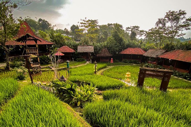 Resto Keluarga di Bogor View Sawah