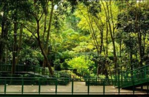 Rekomendasi Tempat Healing Bandung