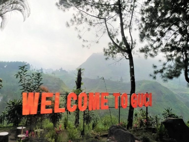 Tempat Healing Tegal View Sawah