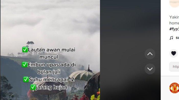 Wisata Viral TikTok di Dieng