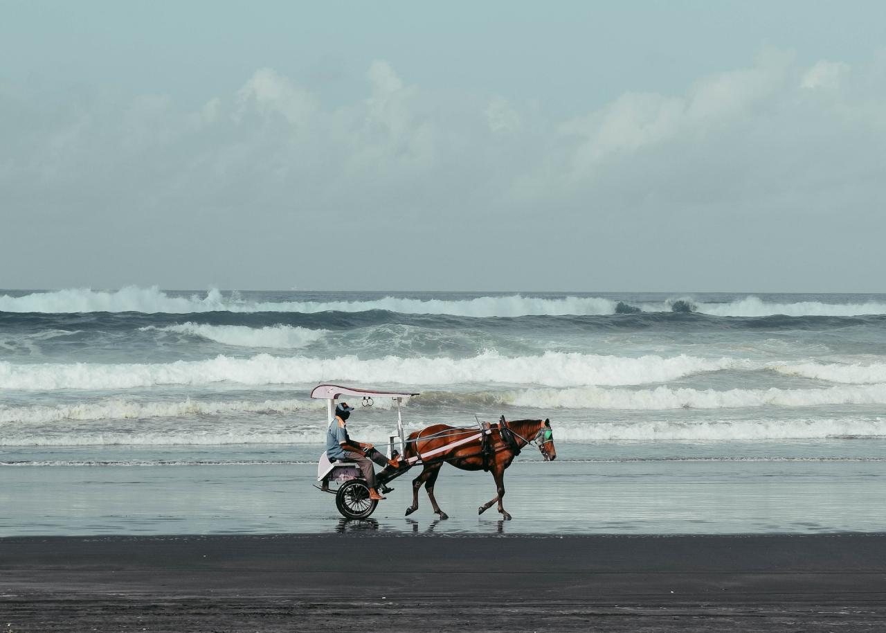 Hidden Gem Pantai di Jogja