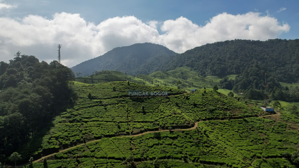 Tempat Healing di Puncak Yang Tenang